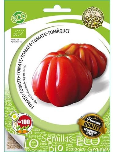 Sobre de Semillas de Tomate Variedad Corazón de Buey Tamaño XL y Sabor Potente
