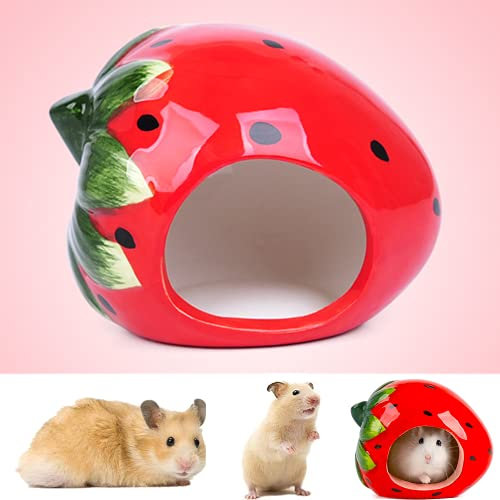 bangminda Hamsterversteck Keramik Erdbeer Form Hamsterhaus Keramik Haus Durable Hamster Versteck Hamster Höhle Kleintierversteck für Zwerghamster Rennmäuse Goldener Bär Mäuse