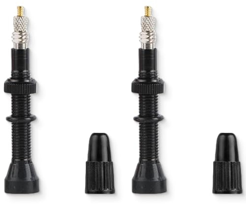 JEYORZY 2 Pcs Valvula Tubeless MTB 54mm Valvula Bicicleta Fina Válvulas sin Cámara Valvula Tubeless Carretera Universal + 2 x Tapa 2 x Tórica para Llanta de Carreteras Bicicletas de Montaña, negro