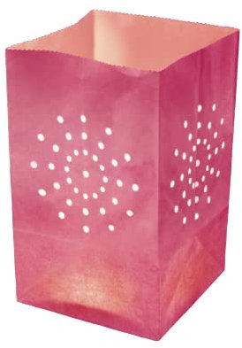 Lot 5 Sacs Lumineux Rose Fuchsia - Lanternes de Jardin en Papier 100% ignifugé - Lanternes Papier à Poser Décoration Extérieure Mariage, Anniversaire, Jardin