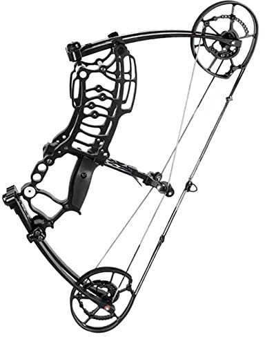 Compoundbogen Set für Bogenschießen Stahlkugel Mehrzweck Compoundbogen 40-65 lbs Verstellbarer Bogen zum Bogenfischen IBO 420 FPS (Type 1)