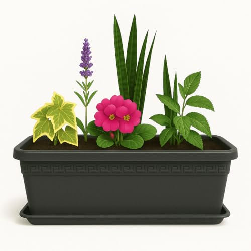 TECHZOCO Jardinera de plástico con Plato, Macetero para Jardín, Fabricado en Polipropileno, Incluye Plato, Apto para Interior/Exterior, 40 cm Largo x 15 cm Alto x 18 cm Fondo, Antracita
