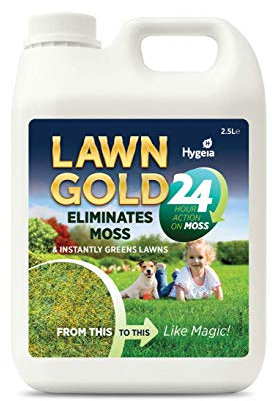 Lawn Gold 24 Overnight Moss Remover & Fertilizer 1 Litre