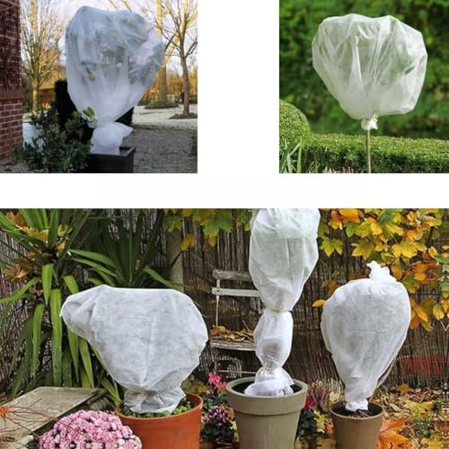 Tissu non tissé de protection contre le gel pour plantes - 3 x 4 m, 6 m, 10 m, 15 m, respirant et résistant aux déchirures - Résistant aux UV - Blanc
