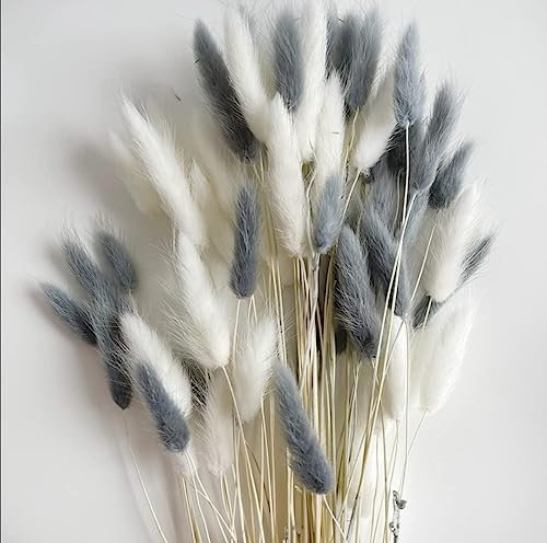 VELAFEE 100 stems (Grey and White) Bunny Tails Pampas Grass Home decor cake topper 45cm Rabbit Tails Dried Flowers Bouquet Best for Boho Decor Table Decoration Bedroom Decor