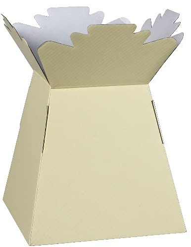 INERRA Florist Boxes - Living Vases for Flower Bouquet Box Making - Pack of 10 (Cream)