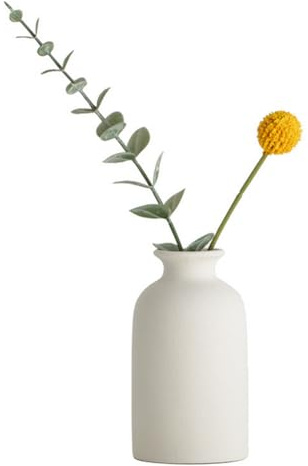 Jarrón pequeño de cerámica redondo seco floral bohemio, estilo minimalista, decoración del hogar para flores secas y plantas (blanco)