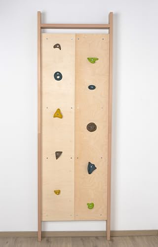 Climboo-220 Sports Equipment Climbing Wall Climbing Frame Fitness Wooden Wall Bars with Bar Gym Wall Gym