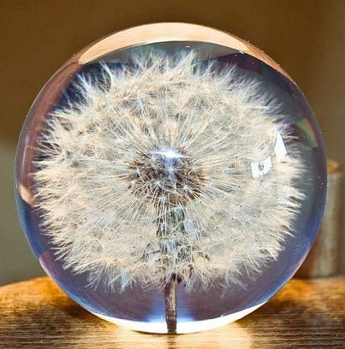 Dandelion Dream Ball Paperweight Crystal Wishing Ball Unique Dandelion Paperweight The Perfect Gift (7cm) Diameter