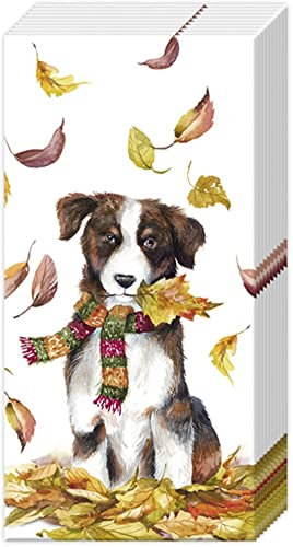 IHR Ideal Home Range - Papiertaschentücher DOG HAVING FUN 10 St. Papiertaschentücher 21 cm x 21 cm