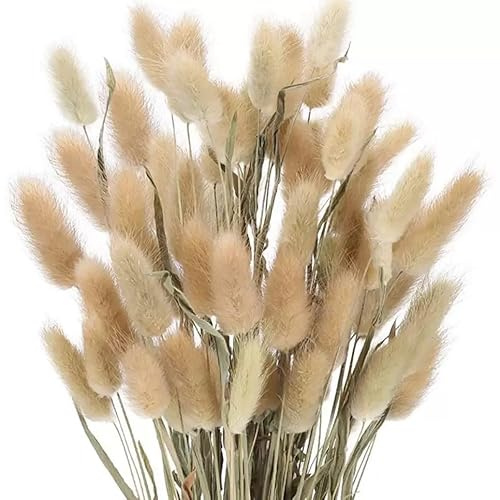 MHDAMAI Torkat pampasgräs, kaninsvans gräs 60 stycken naturliga torkade blommor, bukett, dekoration, konstgjorda stora torkade blommor, pampasgräs för inredning, fotografering, bröllop, beige