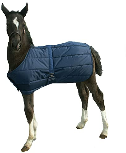 High Spirit Foal Blanket, Navy