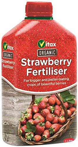Organic Liquid Strawberry Feed