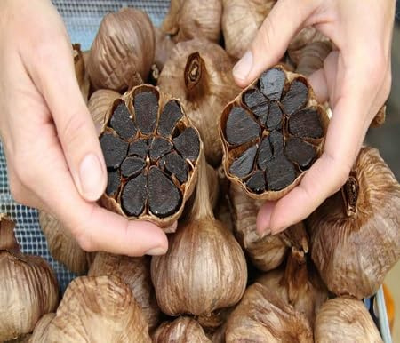100 piezas de semillas vegetales de ajo