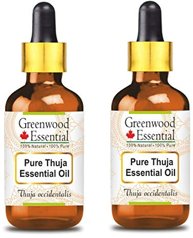 Greenwood Essential Pure Thuja Essential Oil (Thuja occidentalis) with Glass Dropper Steam Distilled 100ml x 2 (6.76 oz)