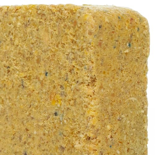 BusyBeaks Suet Fat Blocks | Premium Grade Garden Wild Bird Food | Enhanced Formula | Naturally Blended High in Energy & Protein-Rich Feed | Full of Nutritious Fat Fibre & Moisture (Worm & Insect, 10)