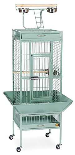 Prevue Pet Products Wrought Iron Select Bird Cage - Steel Cage with Rolling Stand and Seed Guards, Durable Design, Ideal for Cockatiels and Medium Birds - Sage Green