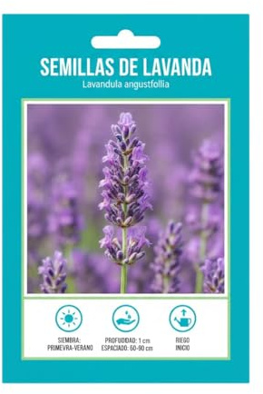 Semillas de Lavanda Natural para Huerto Urbano y Jardín Mediterráneo – DECOALIVE