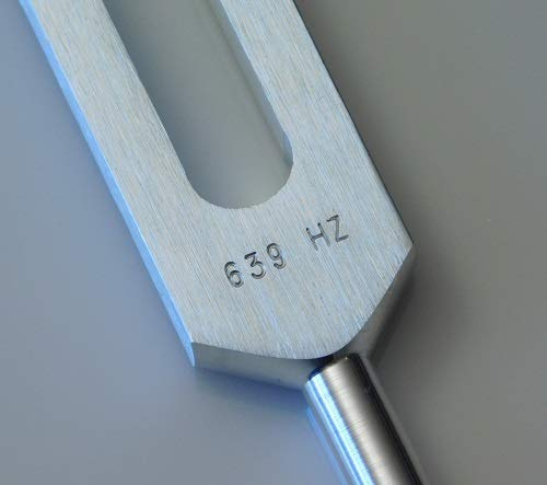 SWB 256 Tuning Forks