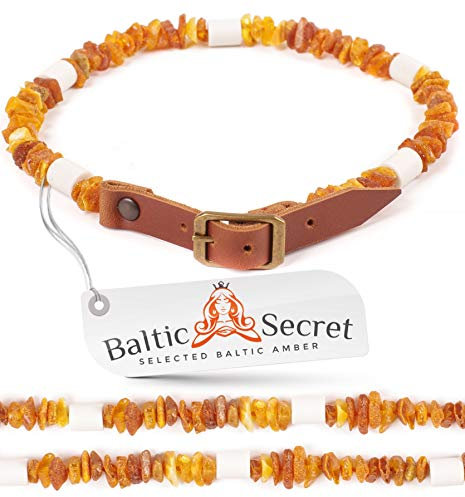 Bernsteinkette Hund mit EM Keramik Pipes - Effektive MIKROORGANISMEN - Bernsteinhalsband Hunde - Bernstein (45-50 cm)
