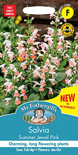 Mr fothergill's -SALVIA Summer Jewel Pink