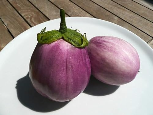 Sachet de graines de Aubergine ronde blanc strié de rose - Sachet de 1 gramme - Graines de style
