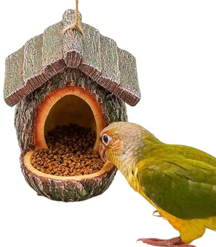 Distributore di mangime per uccelli per la casa – Mangiatoia decorativa per uccelli selvatici con un design aperto – Mangiatoia decorativa per uccelli selvatici | Per l'osservazione di scoiattoli e