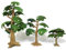 STOBOK 3 Stück Kunststoff Baum Modell Kleine Simulation Kiefer Zypresse Spielzeug DIY Handwerk Eisenbahn Landschaft Pflanze für Kinder Kinder (Kleine)