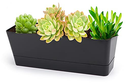 GREANER Macetas de hierbas de 30 x 10 cm, 1 unidad, rectangulares, ventana, con bandeja, plástico, cactus, menta, suculentas, interior, alféizar, balcón, oficina, jardín al aire libre, color negro