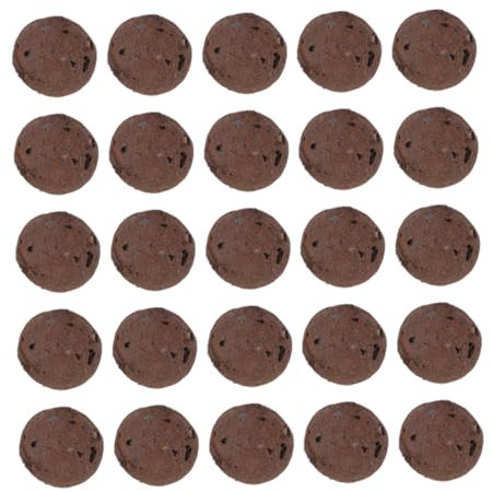 ifundom De Pierres Argile Naturelles Décorations Pour Plantes Pot Base Pour Fleurs