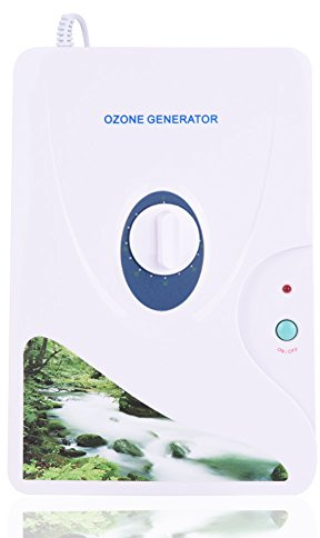 Wakects 600 mg/h generator, air purifier for water and air, sterilizer for vegetables, fruits and more - 270 x 190 x 75 mm