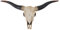 Mendler Deko Schädel 75cm HWC-A14, Polyresin Stier Bulle Longhorn Kopf Trophäe, In-/Outdoor Natur
