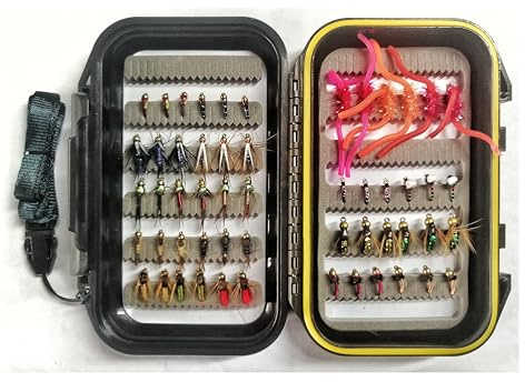 Wifreo Fly Fishing 54 Nymph Flies Assortment BH Wet Fly for Trout Flyfishing with Waterproof Fly Box