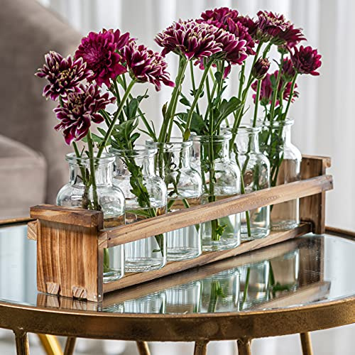 Vacker blomvas i glas med växtstativ i trä och 6 knoppvaser, dekorativa glasflaskor för heminredning, bordsuppsats, bröllop, möhippa, evenemang – vintage medicinflaskor.