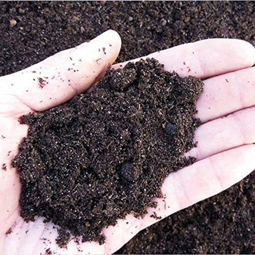 Terreau spécifique pour cactus et plantes grasses 10 kg Substrato CACTUS plantes grasses