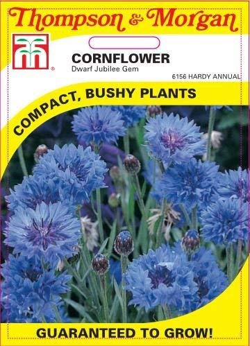 Thompson & Morgan - Flowers - Cornflower Dwarf Jubilee Gem - 150 Seed