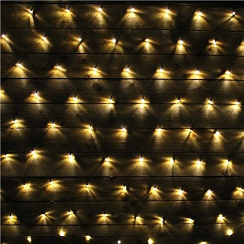 LightsGo Net Fairy Lights Outdoor Indoor LED Fairy Lights 320LEDs 3m*2m Warm White 8/16H Timer, 8 Modes