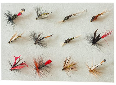 12 Nassfliegen Angel Set Fliegenset Forellenköder gebundene Fliegen Forellen Köder Kunstköder Trout Lure