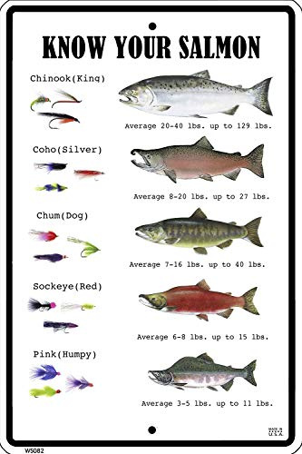 CROSSWALKS Know Your Salmon 10 X 15 Aluminum Sign (WS082)