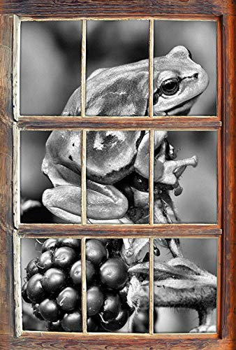 UYEDSR Wall Sticker Monocrome Little Frog on Blackberry Bushes Window in 3D Look Wall or Door Sticker Wall Sticker Wall Decal Wall Decoration 92x62cm