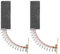 Tiardey 2 Pezzi Spazzole di Carbone per Lavatrici Spazzole di Carbone Motore 5x12.5x36mm per Bosch Siemens Constructa e Neff