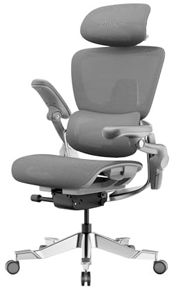 HINOMI H2 Pro Bürostuhl ergonomisch-Lordosenstütze,Kopfstütze&Armlehnen verstellbar,150kg belastbar,atmungsaktives Mesh,Drehstuhl für Home&Office,ergonomischer Schreibtischstuhl (Grau)