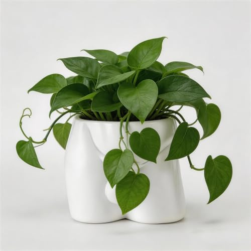 Lourich Vases de Corps pour Pot de Fleurs décoratif, Pot de Fleurs en résine Amusant, Pot de Fleurs pour Corps Masculin — Vase Amusant Cadeau Unique pour Plantes Grasses et Cactus (Blanc)