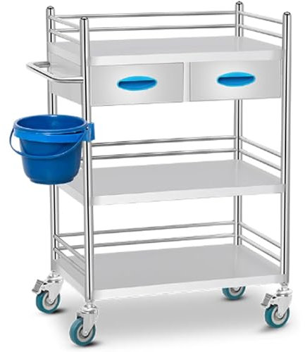 Medizinischer Laborwagen, Edelstahl 2/3-Tier Trolley Serving Utility Carts mit zwei Schubladen für Labor Spa Beauty Salon Klinik Küche Ausrüstung verwenden (Color : B, Size : 60 * 40 * 86cm)