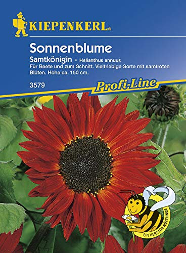 Kiepenkerl 3579 Sonnenblume Samtkönigin (Sonnenblumensamen)