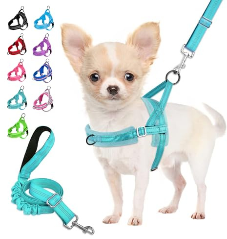 Eyein Hundegeschirr mit Leine für mittelgroße Kleine Hunde, Weich gepolsterter No-Pull Brustgeschirr mit 2 Leinenclips, Leichtgewicht Reflektierend Geschirr Hals und Brust verstellbar (Blaugrün,S)