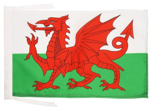 AZ FLAG - Flagge Wales - 45x30 cm Mit Kordel - Walisische Fahne 30 x 45 cm - Flaggen