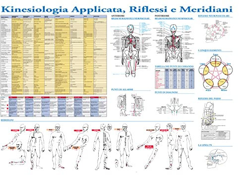 POSTER DI KINESIOLOGIA APPLICATA, a colori. Elenco dei muscoli, dei punti riflessi neurolinfatici, dei punti neuromuscolari e dei meridiani. Per studio professionale, ufficio, casa. Grande 84.3 x59 cm
