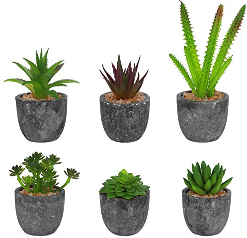 BELLE VOUS Kunstblumen im Topf Mini Kunstpflanzen im Topf (6 STK)- Sortierte Mini Sukkulenten Pflanzen & Kaktus - Deko Blumen Unechte Pflanzen für Haus, Büro, Tisch & Badezimmer