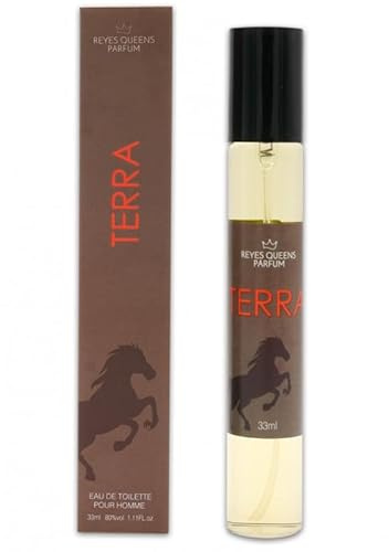 Mercury Snc Profumo Uomo Equivalente e Compatibile con Terre DHerm 33ml - Profumi Uomo Equivalenti da Viaggio - Eau de Toilette